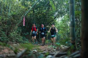 BIB: 
                            <button type="button" onclick="openModal(28024779)" class="btn btn-primary btn-sm float-right btn-popup" data-toggle="modal" data-target=".modal-high-quality">
                        <i class="fas fa-shopping-cart"></i> Add to Cart
                    </button>
                                            <button type="button" onclick="isThisMe(28024779, true)" class="btn btn-success btn-sm float-right btn-popup btn-isme hidden" data-toggle="tooltip" data-placement="bottom" title="นี่คือรูปของคุณใช่ไหม คลิกที่นี่เพื่อเอาเข้าอัลบั้ม">
                        <i class="fas fa-plus"></i> Add to album
                    </button>
                    <button type="button" onclick="isThisMe(28024779, false)" class="btn btn-warning btn-sm float-right btn-popup btn-isnotme hidden">
                        <i class="fas fa-ban"></i> Remove from album
                    </button>